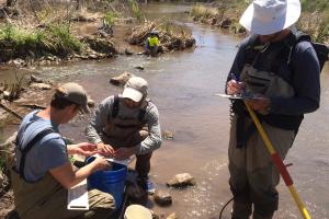 People standing and sitting in a creek with with buckets and scientific equipment