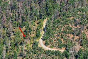 Aerial image of the Lick Gulch Fire