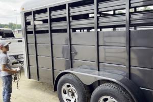 Boy looks at trailer that contains his new adopted horse. 