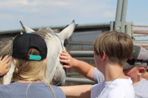 Two youth pet a gray horse. 