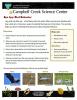 Eye Spy Bird Behavior Nature Learning Activity Sheet