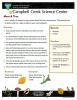 Meet a Tree Nature Learning Activity sheet