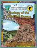 Geology of the Gold Belt Byway Junior Explorer Activity Book