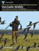 Cover of Watchable Wildlife: Viewing Alaska's Species and Habitats on Your Public Lands brochure