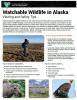  Watchable Wildlife in Alaska Viewing and Safety Tips Sheet