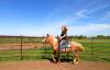 Girl riding horse along fence line. 
