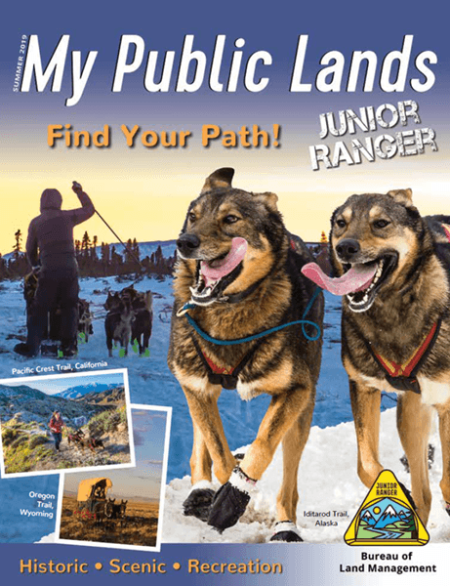 Find Your Path! Junior Ranger cover showing two sled dogs on the Iditarod National Historic Trail