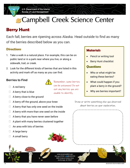 Berry Hunt Nature Learning Activity sheet