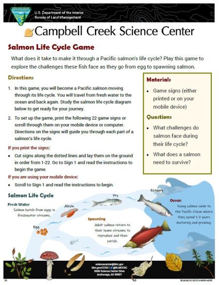 Salmon Life Cycle Game sheet