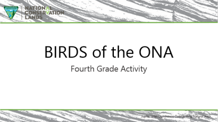 JILONA_Grades_4_BirdIdentificationPowerPoint