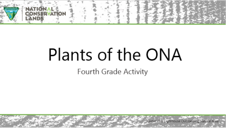 JILONA_Grades_4_PlantsoftheONA_PPT