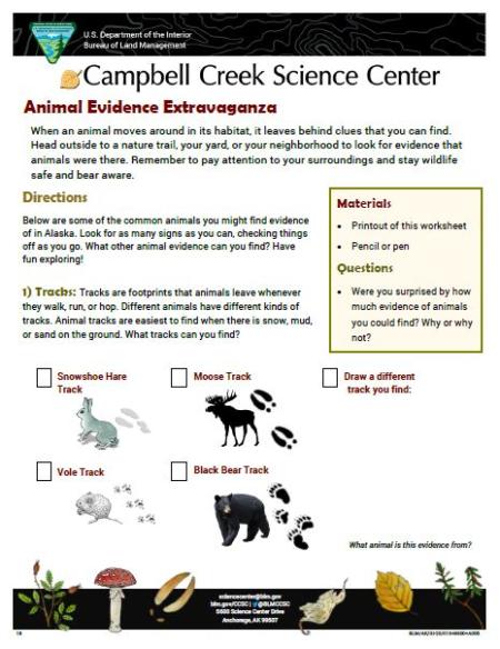 Animal Evidence Extravaganza Nature Learning Activity Sheet