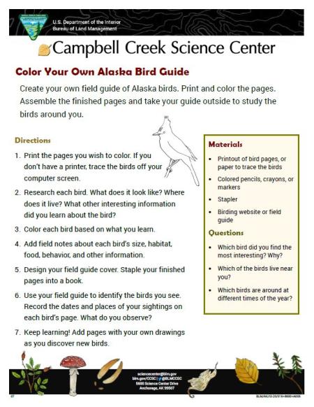 Color Your Own Alaska Bird Guide Nature Learning Activity Sheet