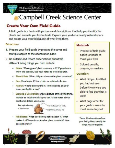 Create Your Own Field Guide Activity sheet