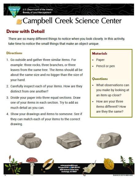 Draw with Detail Nature Learning Activity sheet