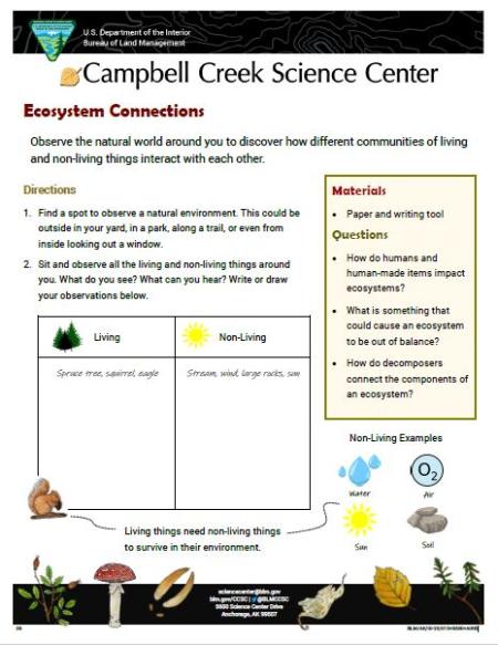 Ecosystem Connections Activity sheet