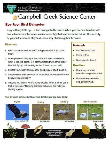Eye Spy Bird Behavior Nature Learning Activity Sheet