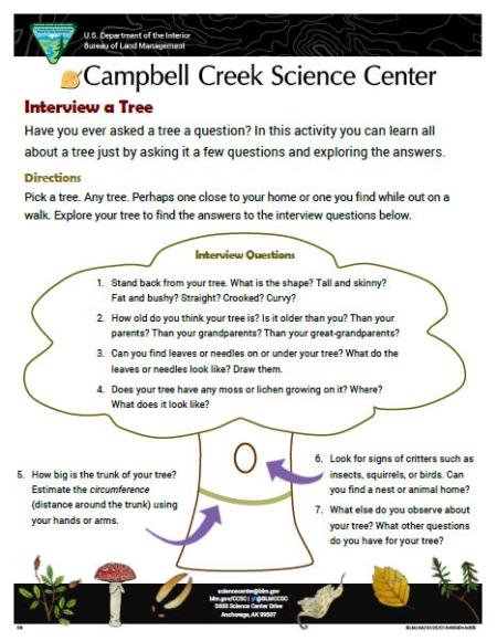 Interview a Tree Nature Learning Activity sheet