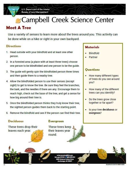Meet a Tree Nature Learning Activity sheet