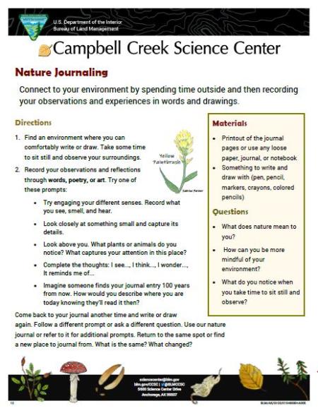 Nature Journaling Nature Learning Activity sheet