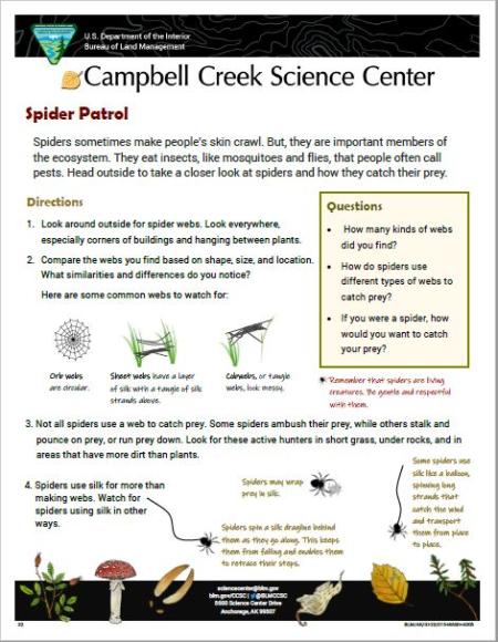 Spider Patrol Nature Learning Activity Sheet