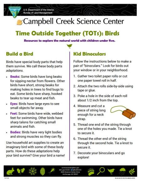 TOTs Birds Activity sheet