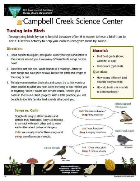 Tuning into Birds Nature Learning Activity sheet