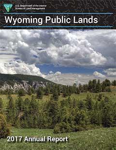 WY_BLM_WY_2017Report_Thumbnail