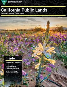 media-center-public-room-califfornia-public-lands