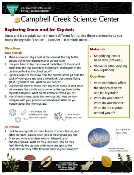 Exploring Snow and Ice Crystals Activity Sheet