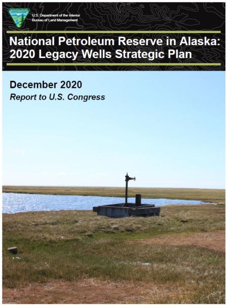 Cover of National Petroleum Reserve in Alaska: 2020 Legacy Wells Strategic Plan