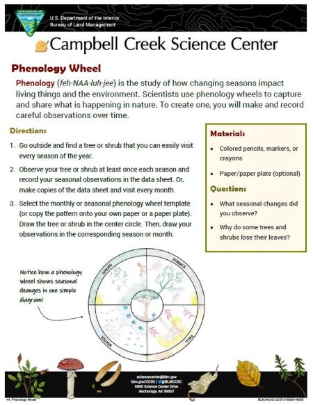 Phenology Wheel Nature Learning Activity Sheet