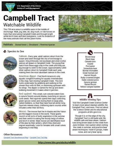 Campbell Tract Watchable Wildlife Sheet