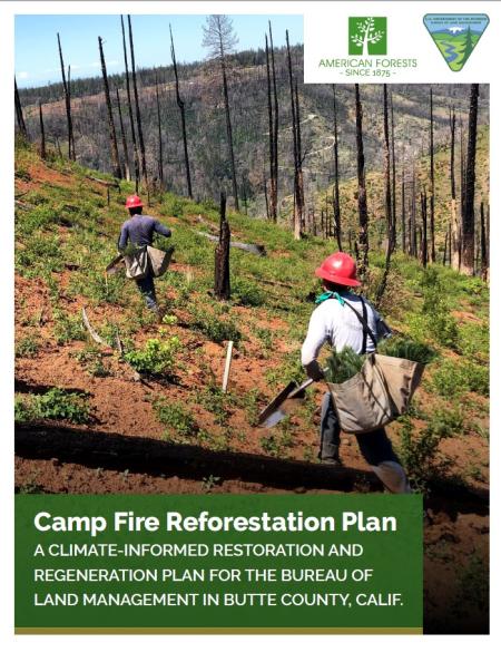 The cover of the Camp Fire Restoration Plan document