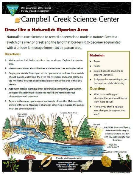 River Offerings – Over The Edge and Beyond: Journal of a Naturalist