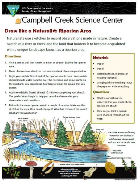 Draw Like a Naturalist: Riparian Area Activity sheet