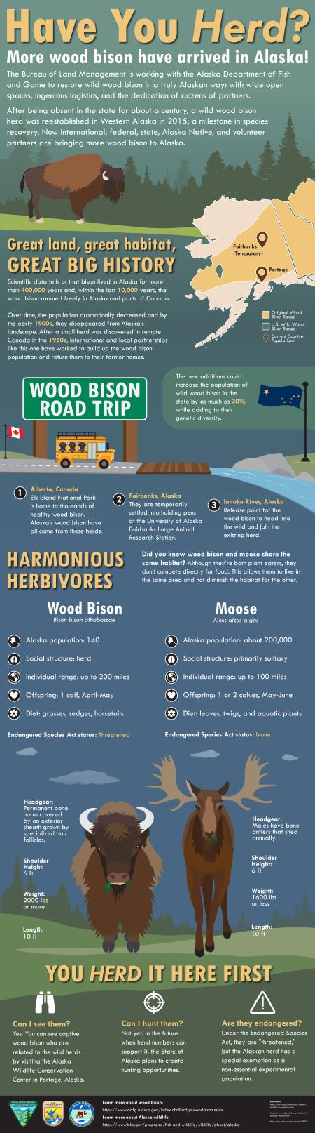 Infographic that shows the restoration of wood bison to Alaska.
