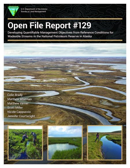 DEVELOPING QUANTIFIABLE MANAGEMENT OBJECTIVES FROM REFERENCE CONDITIONS FOR WADEABLE STREAMS IN THE NATIONAL PETROLEUM RESERVE IN ALASKA