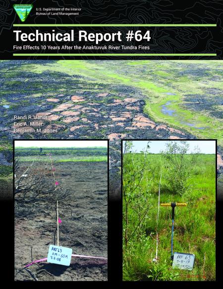 Fire Effects 10 Years After the Anaktuvuk River Tundra Fires