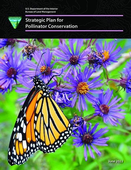 Monarch butterfly (Danaus plexippus) by Tom Koerner, U.S. Fish and Wildlife Service