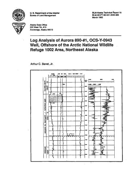 LOG ANALYSIS OF THE AURORA 890 #1 OCS-Y-0943 WELL cover
