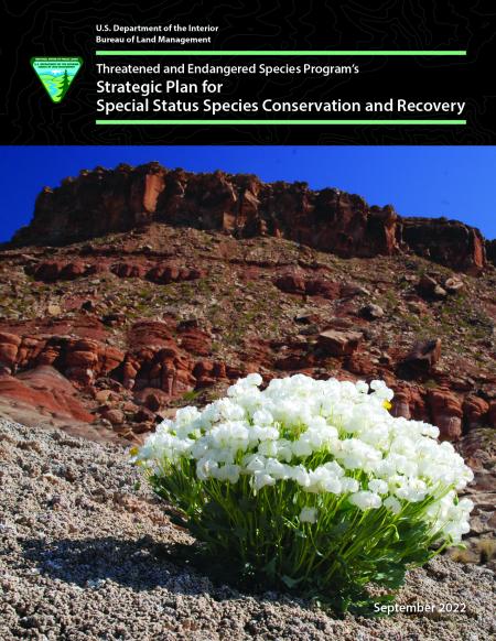 Threatened and Endangered Species Program’s Strategic Plan for Special Status Species Conservation and Recovery cover