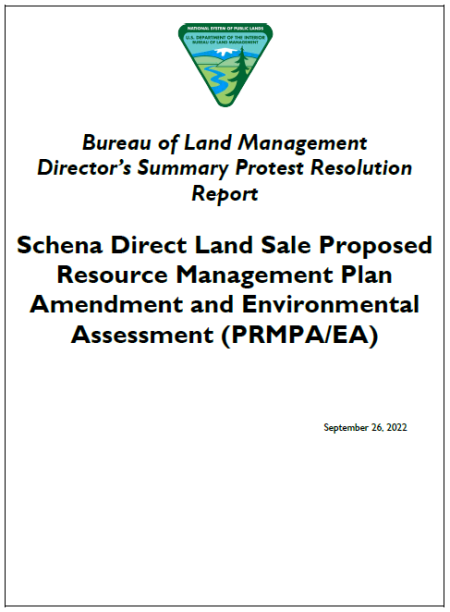 The cover page of the Schena Direct Land Sale Protest Report