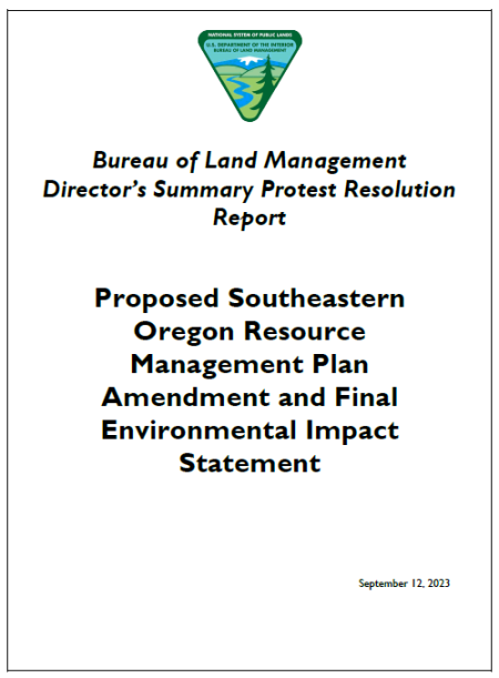Protest Resolution Report Title Page
