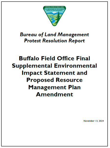 Buffalo Protest Resolution Report Cover Page