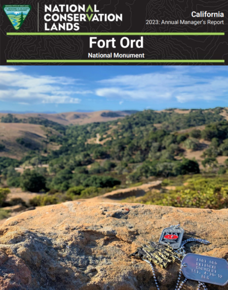 dog tags lay on rock overlooking lush green landscape.