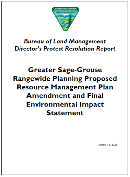 Greater Sage-Grouse Rangewide Planning Proposed RMP Amendment and Final EIS Protest Resolution Report Cover