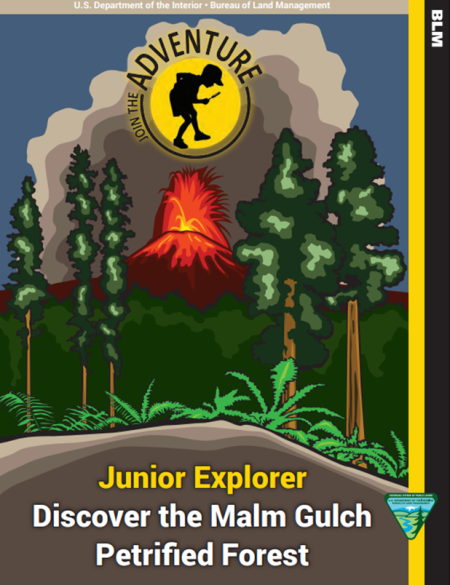 Booklet screenshot that reads "Discover the Malm Gulch Petrified Forest"