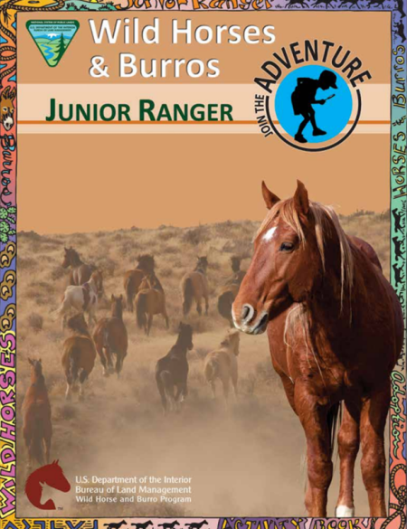 booklet screenshot that reads "Wild Horses & Burros Junior Ranger"