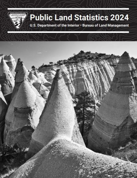 BLM Public Land Statistics 2024 - BLM Public Lands Statistics 2024 Cover